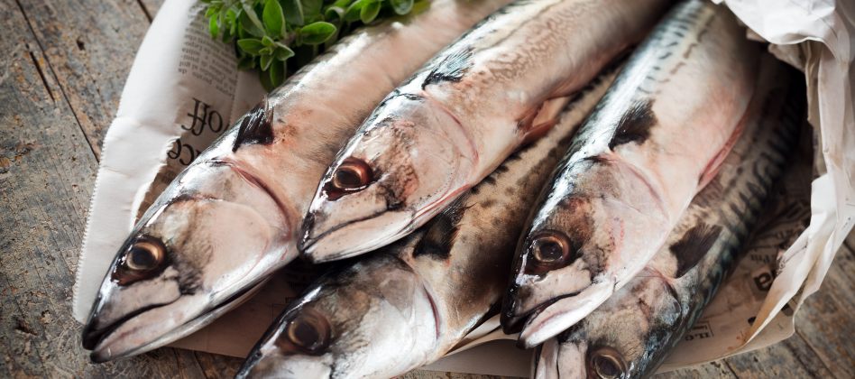 Consommation de poisson : comment opter pour une pêche responsable