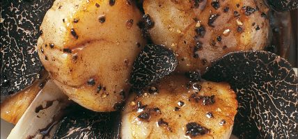 Coquilles Saint-Jacques grillées sur la braise, endives cuites et crues, râpée de truffes noires par Alain Ducasse