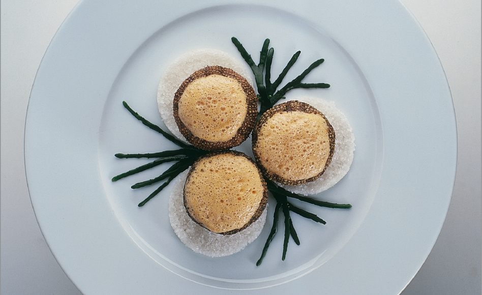 Oursins de roche en coque, condiment d’herbes et de citron par Alain Ducasse