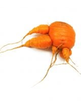 La revanche des fruits et légumes moches