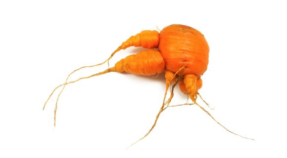 La revanche des fruits et légumes moches