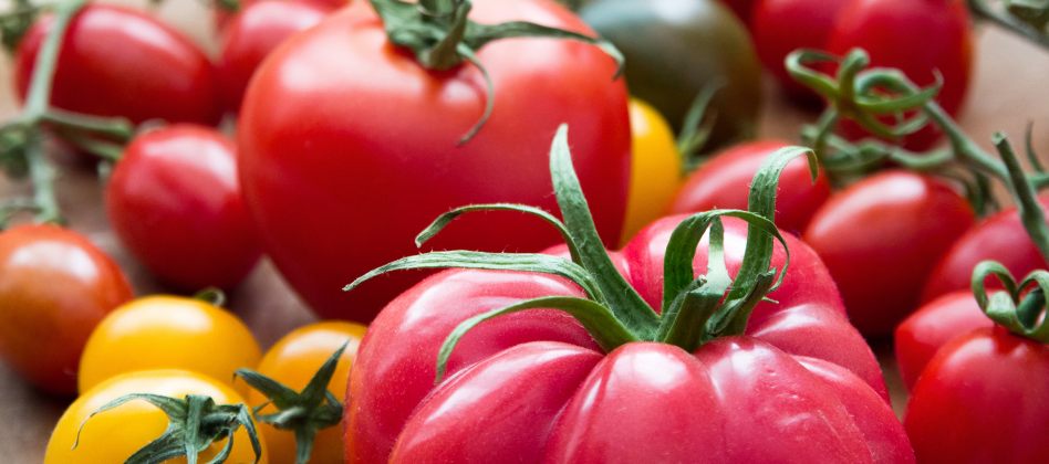 Farcies, en salade, en confiture : quelle tomate pour quel usage ?