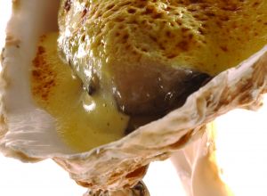 Recette d'huîtres chaudes au champagne par Alain Ducasse