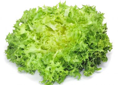 Chicorée frisée