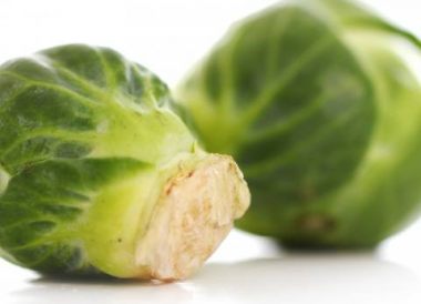 Chou de Bruxelles