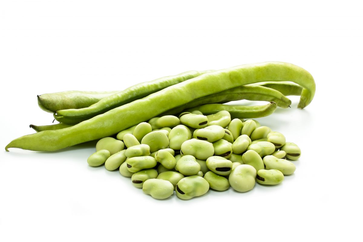 Some beans. Широкие Бобы. Фасоль штучный. Green Bean арт. Beans stock images.