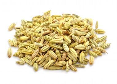 Graines de fenouil