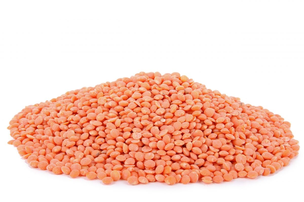 Lentilles roses (Lentilles corail) (légumes) - Académie du Goût
