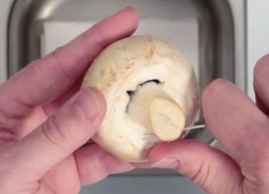 Éplucher un champignon de Paris