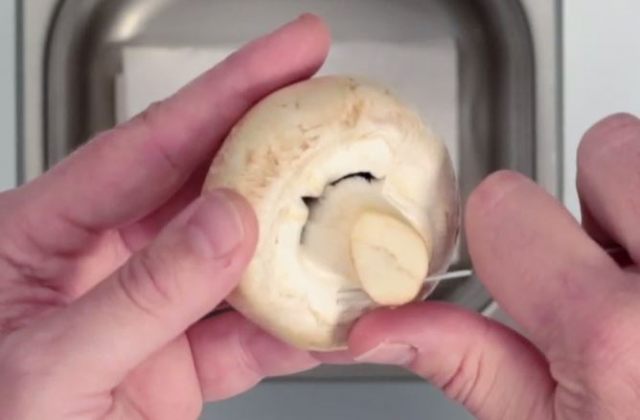 Eplucher Un Champignon De Paris Glossaire Culinaire Academie Du Gout