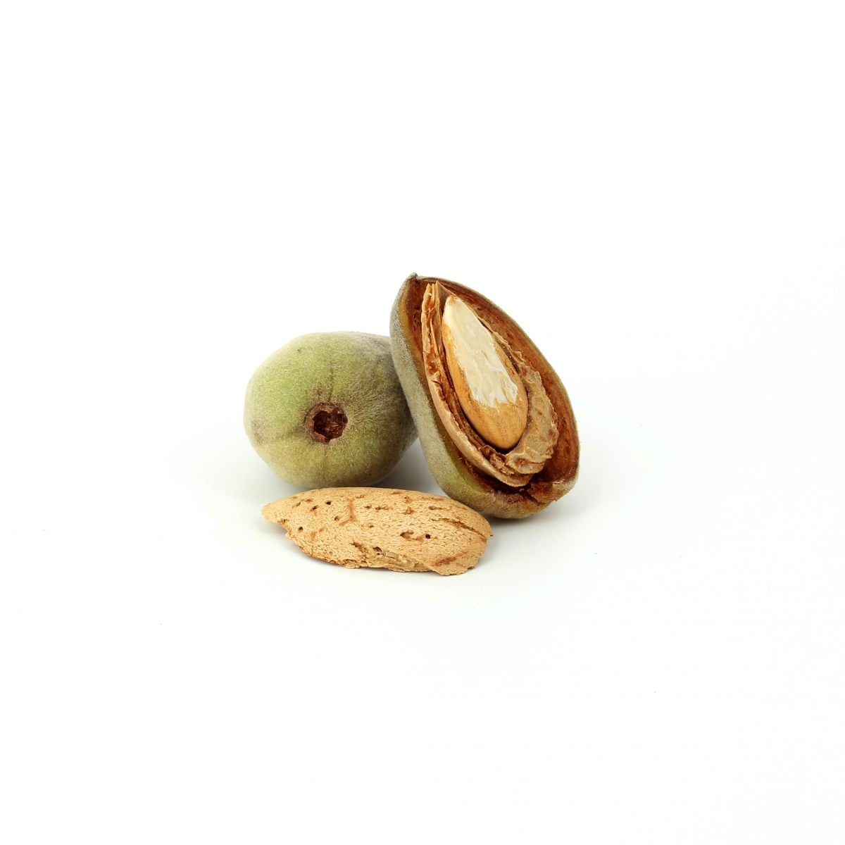 Amande (fruits) - Académie du Goût