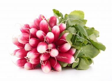 Radis rose