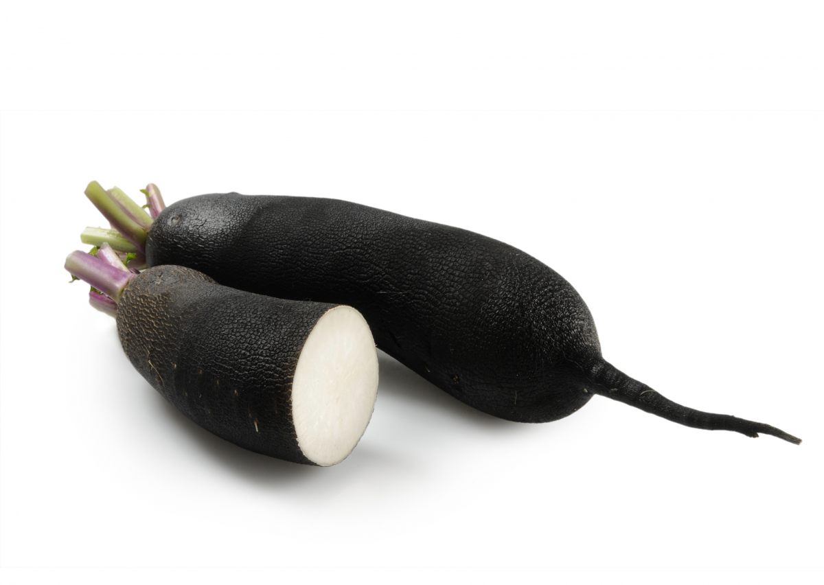 Radis noir (légumes)