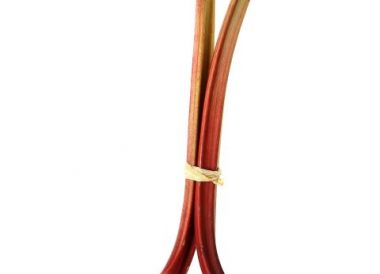Rhubarbe