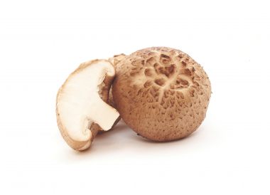 Shiitake