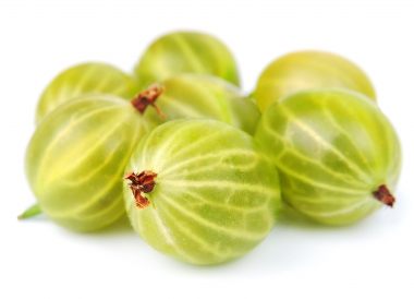 Groseille à maquereau