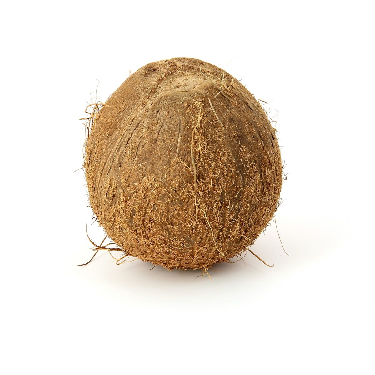 Noix de coco (fruits)