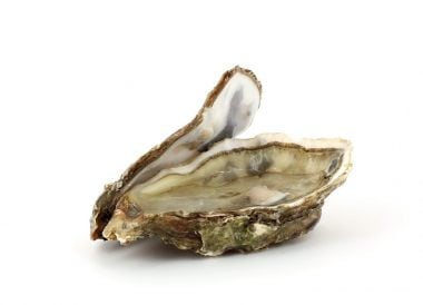 Huître