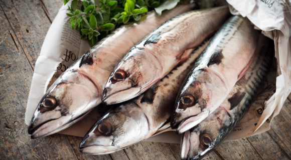 Consommation de poisson : comment opter pour une pêche responsable ?