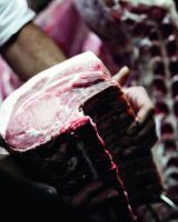 Le bœuf maturé : plus qu’un effet de mode, un produit d’exception