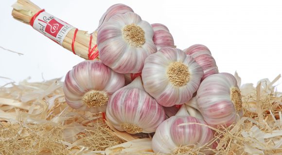 L'Ail Rose de Lautrec, une tête à claquer aussi irrésistible que parfumée