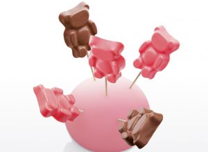 Bisounours fraise et chocolat de Christophe Michalak