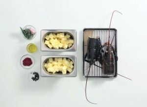 Recette de beurre de crustacé par Alain Ducasse