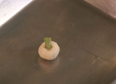 Tourner un navet rond fane