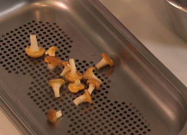 Nettoyer des girolles