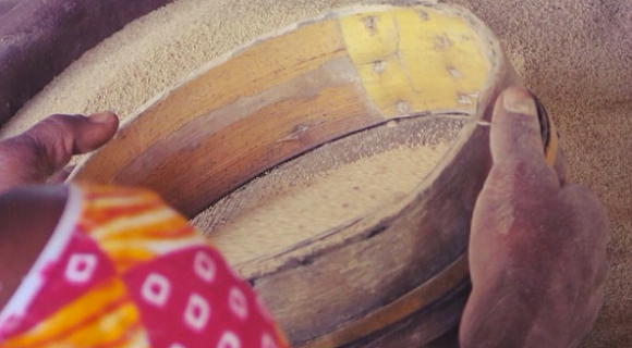 Pierre Thiam : "Le fonio est une graine très importante à préserver"