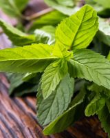 Variations autour de la menthe