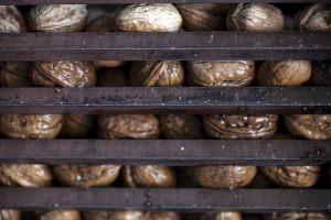 La noix de Grenoble : un fruit sec bien dans sa coque