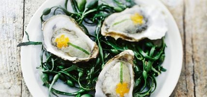 Huîtres en nage glacée