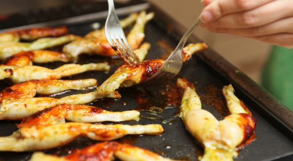 La grenouille des Dombes : un emblème voué à disparaître ?