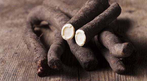 Des légumes racines à découvrir