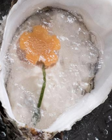 L’huîtrade, le bar à huître chic de Guy Savoy