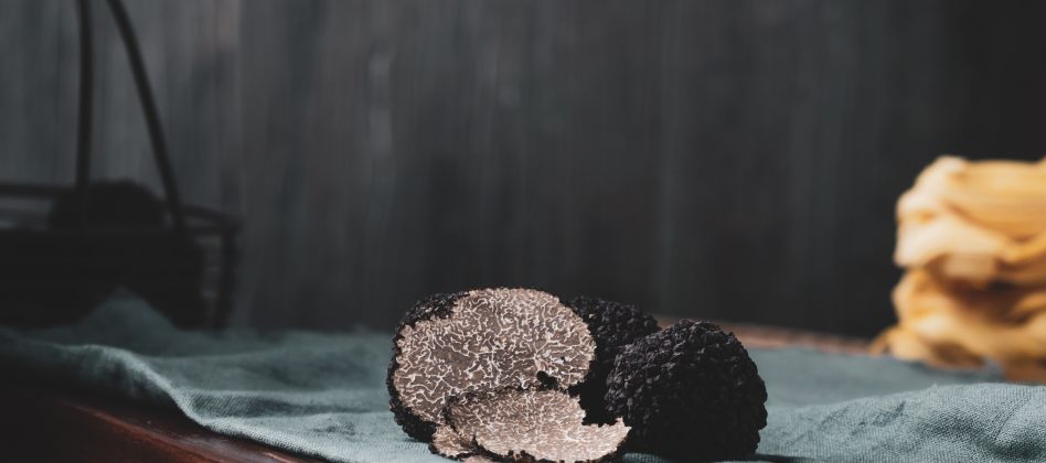 La truffe noire, produit fétiche des gourmets pour Noël