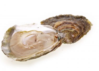 Technique pour ouvrir des huîtres plates