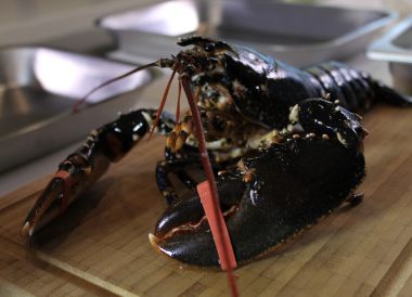 Cuire et décortiquer un homard