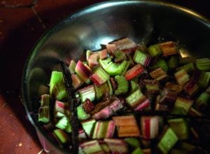 Compote de rhubarbe de Joffre