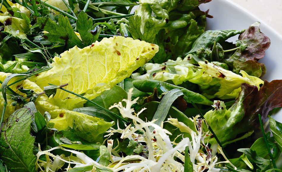 Recette de salade d’herbes par Alain Ducasse
