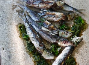 Recette de sardines grillées, condiment chermoula par Alain Ducasse