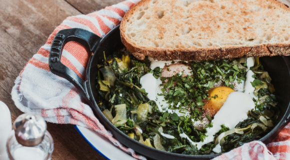 Cuisiner les œufs : sélection de recettes de chefs délicieuses et originales