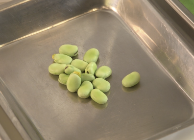 Technique pour écosser des fèves (ou des févettes)