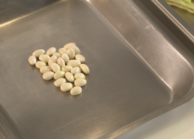 Ecosser des haricots coco