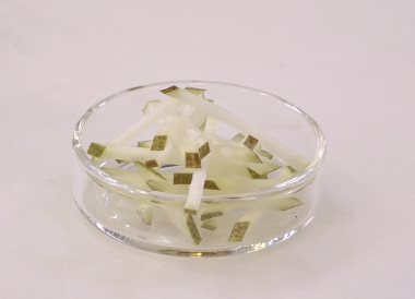 Technique pour tailler une poire en bâtonnets