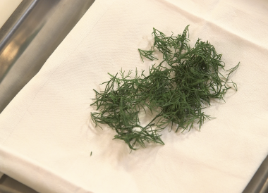 Technique pour prélever des sommités d'aneth