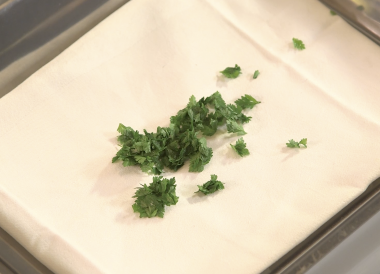 Technique pour prélever des sommités de cerfeuil