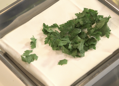 Technique pour effeuiller le persil