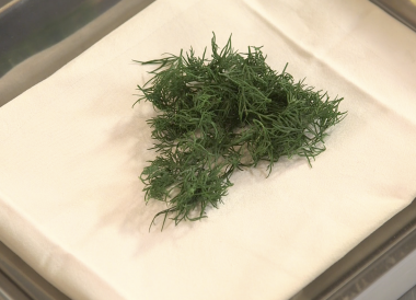 Technique pour effeuiller de l'aneth